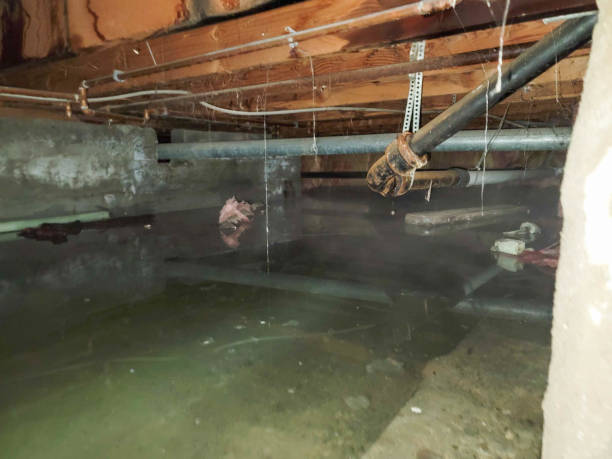 Best Water damage cleanup near me  in Pleasureville, PA