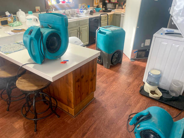 Best Water damage restoration near me  in Pleasureville, PA