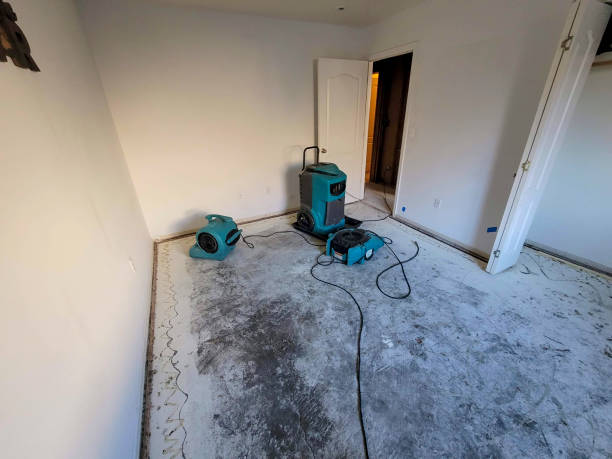 Best Professional water damage repair  in Pleasureville, PA