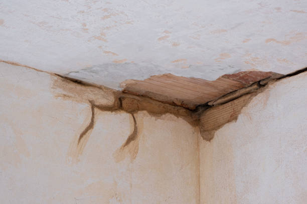 Best Water damage restoration experts  in Pleasureville, PA