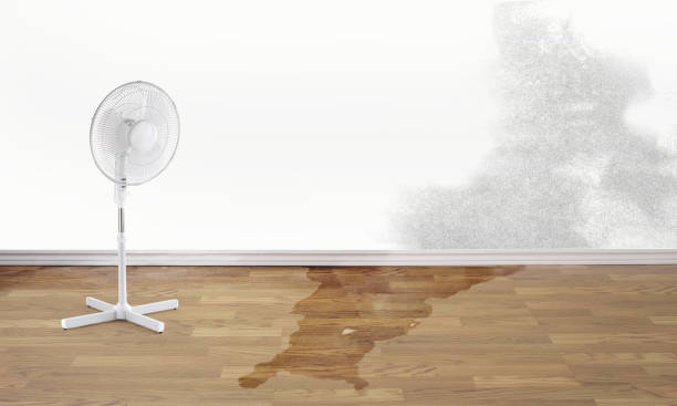 Water damage restoration mold remediation in Pleasureville, PA