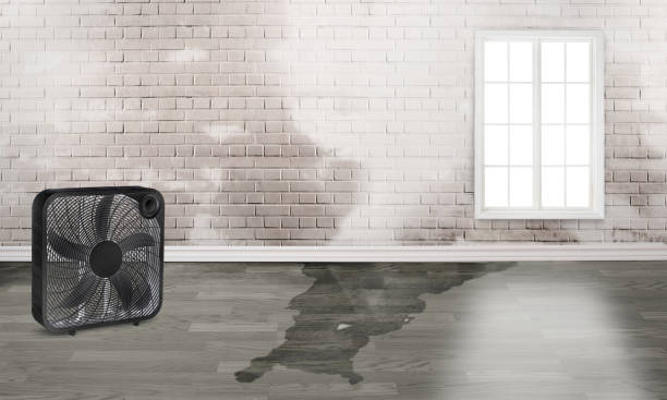 Best Water damage restoration near me  in Pleasureville, PA