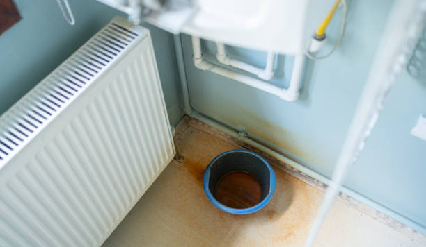 Best Water damage restoration experts  in Pleasureville, PA