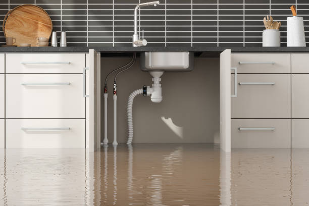 Best Flooded house restoration  in Pleasureville, PA