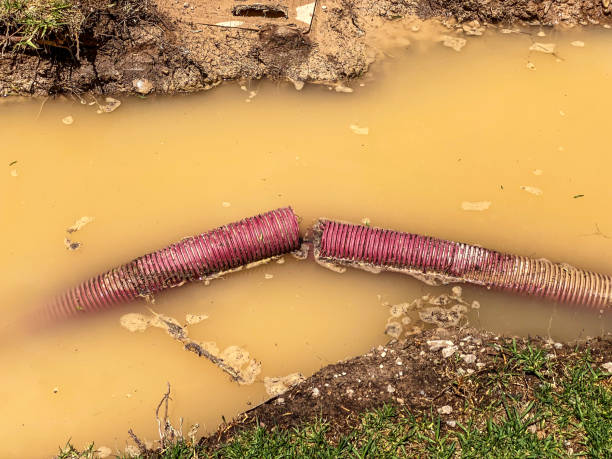 Best Carpet water damage restoration  in Pleasureville, PA