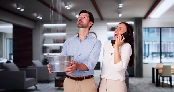 Best Water damage restoration mold remediation  in Pleasureville, PA