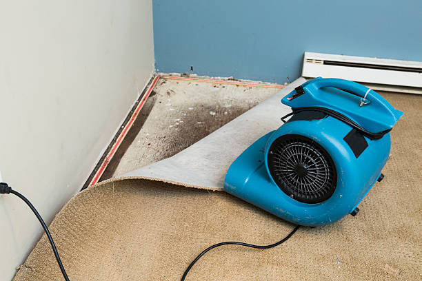 Best Professional water damage repair  in Pleasureville, PA